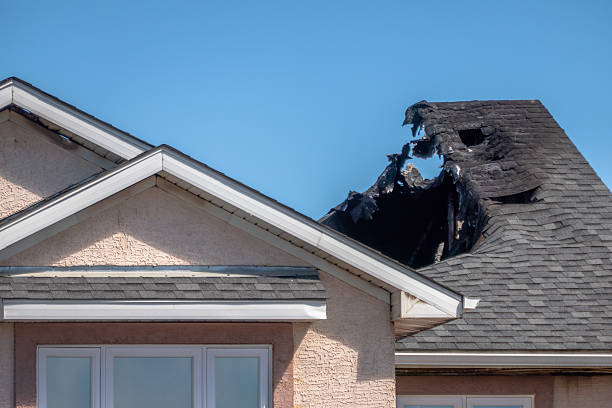 Licensed Fire Damage Restoration service in Dunedin, FL - Fire Damage Laser Cleaning